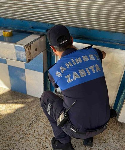 Fırında mide bulandıran görüntü: "İki böcekten ne olacak?"
