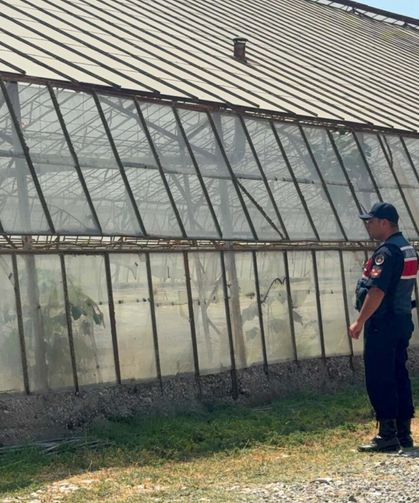 Muğla'da 4 gündür kayıp olarak aranıyordu, serada ölü bulundu