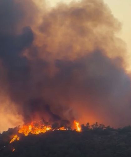 Muğla'da orman yangını