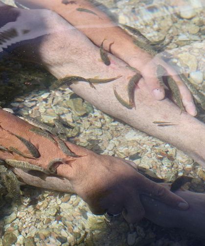 Dünyada eşi benzeri yok! Bu proje Kangal’ın nüfusunu neredeyse ikiye katlayacak