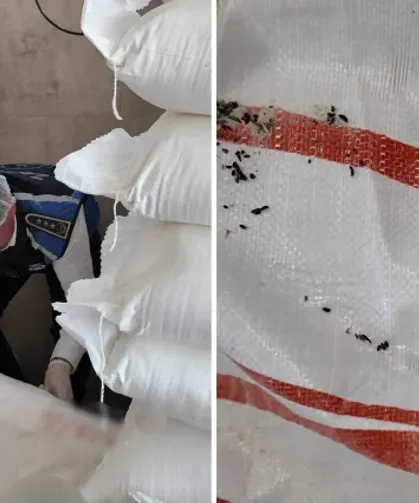 Fırında skandal görüntüler: Millete fare pisliği yedirmişler!