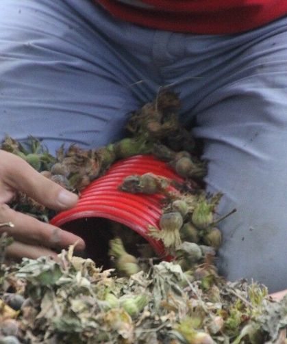 Yılın 50 günü çalışıp, saatte 6 bin lira kazanıyorlar