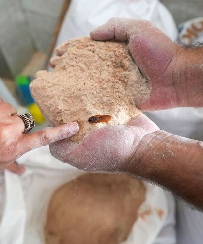 Şoke eden görüntü: 30 ton böceklenmiş bozuk un ele geçirildi