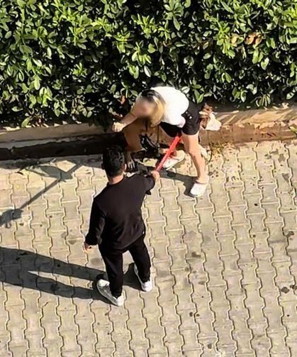 Pitbull sokak ortasında kediyi parçaladı: “Polisi aramayın”