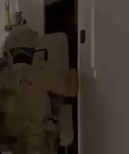 Silahlı suç örgütlerine darbe! 16 şüpheli yakalandı