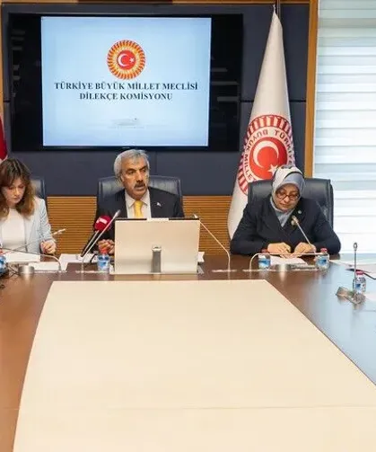 İstanbul için kışlık başkent talebi! TBMM'ye ulaşan dikkat çeken öneriler