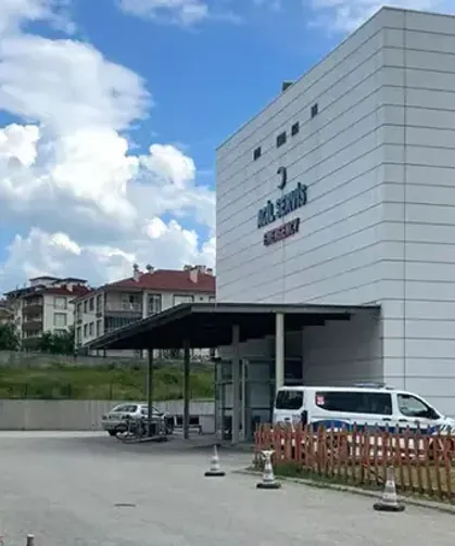 Orman işçisi Şükrü Sucu, arı sokması sonucu öldü