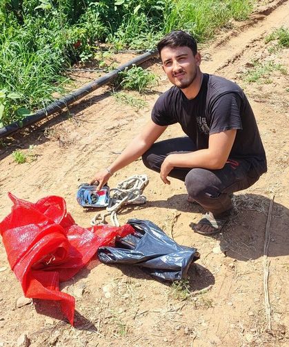 Adana’da Salçalık Biberi Üreticiden Önce Hırsızlar Hasat Etti
