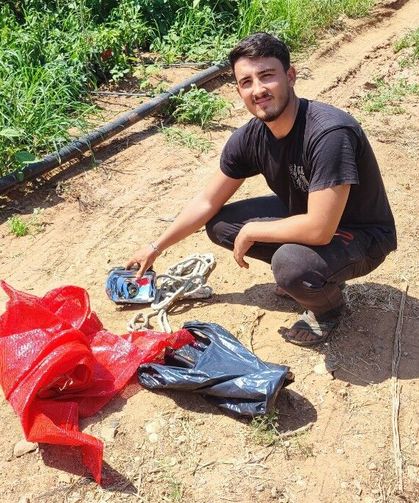 Biber tarlasından 1 ton salçalık biber çalındı