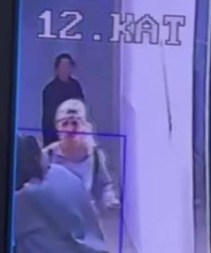 Hırçın kedi hırsızlara geçit vermedi