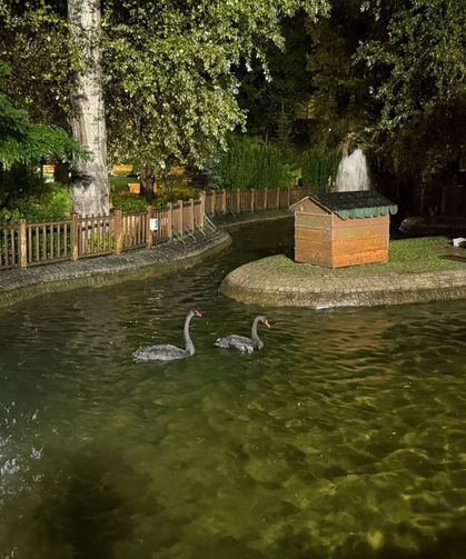 Ankara'da Sağanak Cadde ve Sokaklarda Ulaşımı Aksattı
