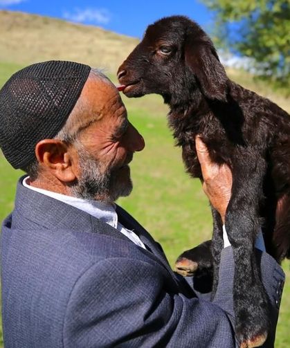 'Bunlar beni tanımıyor' diyen fenomen çoban İlhan Orak, 18 yıl sonra mesleğini bıraktı
