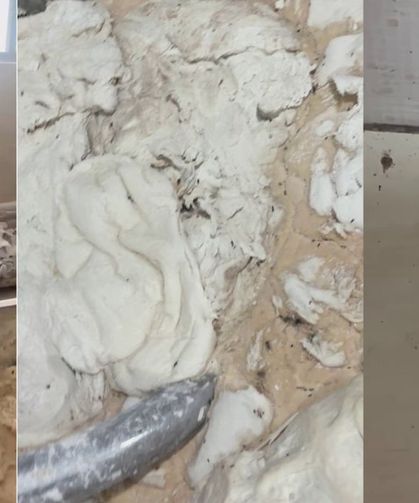 Fırında mide bulandıran görüntüler: Hamam böceği ve sigara izmariti...