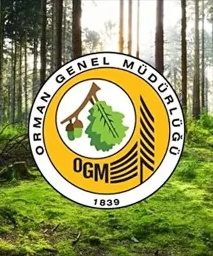 Orman Genel Müdürlüğü personel alımı yapacak: İşte detaylar