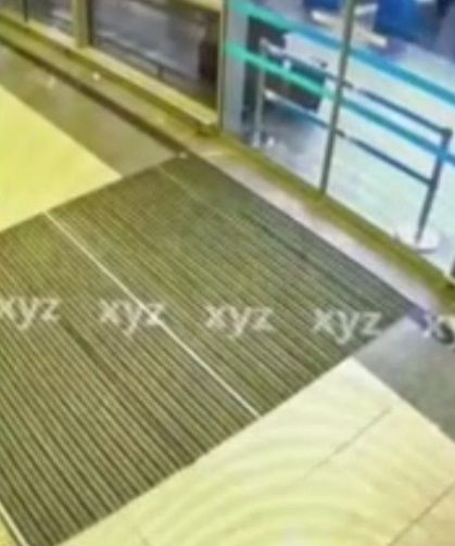 Yasa dışı üreme ticareti operasyonunda donör kadınların katalog görselleri ortaya çıktı