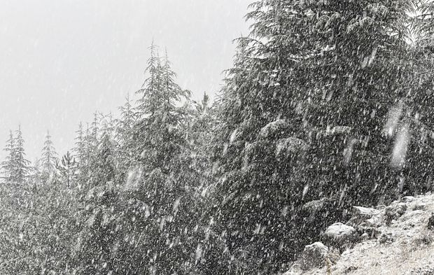 Kahramanmaraş’ta kar etkili oldu
