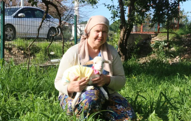 Annesinin reddettiği kuzuyu bebek gibi büyüttü
