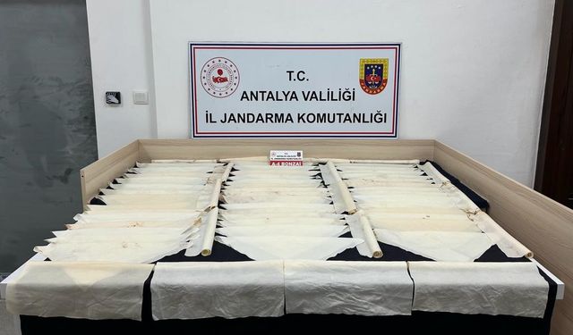 1 milyon kullanımlık bonzai operasyonu 