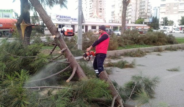 Büyükşehir Belediyesinin fırtına mesaisi devam ediyor