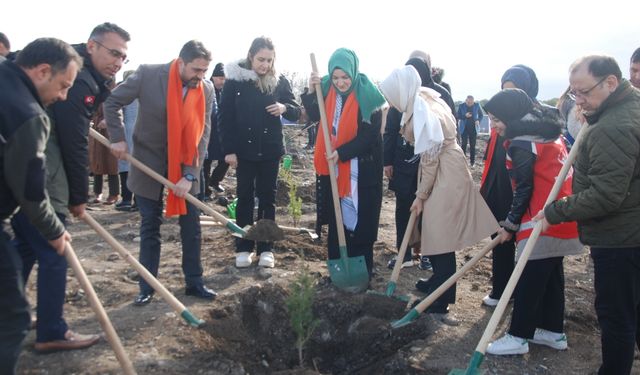 Depremde hayatını kaybeden kadınlar anısına ağaç dikimi yapıldı