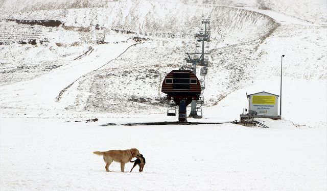 Kahramanmaraş’taki Yedikuyular Kayak Merkezi'ne mevsimin ilk karı yağdı