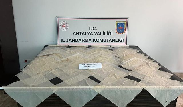 Piyasa değeri 2 milyon TL olan bonzai ele geçirildi 