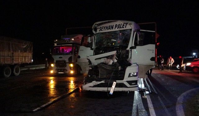 Kırmızı ışıkta duran mandalina yüklü kamyona tır çarptı, kara yolu mandalina bahçesine döndü