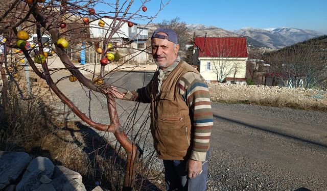 Kahramanmaraş'ta Emekli asker yaban hayvanları için doğaya yem bırakıyor