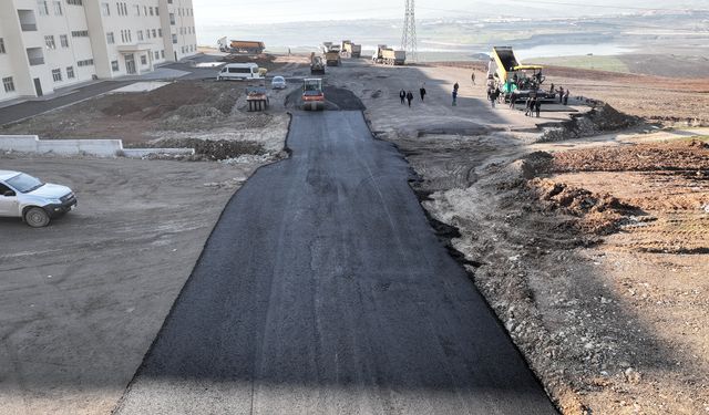 Büyükşehir, KSÜ’de Yeni Fakültelerin Yollarını Asfaltlıyor