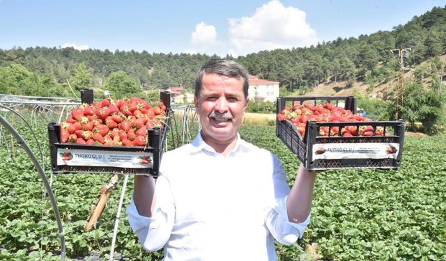 Türkoğlu Belediye Başkanı Okumuş, Bölgenin Bereketini Paylaştı