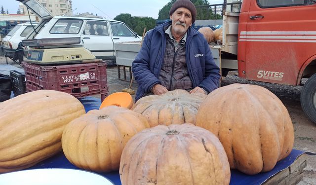 Kahramanmaraş'ta 71 yaşında ekmeğinin peşinde  