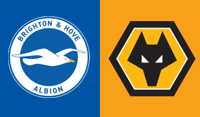 Brighton - Wolverhampton maçı ne zaman? Saat kaçta ve hangi kanalda canlı yayınlanacak?