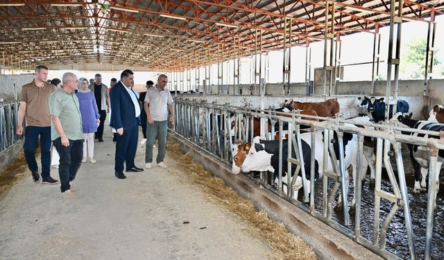 Türkoğlu Belediyesi’nden Çiftçilere Bilimsel ve Hijyenik Tarım Eğitimi