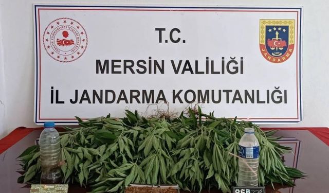 Mersin'de uyuşturucu operasyonu: 6 gözaltı