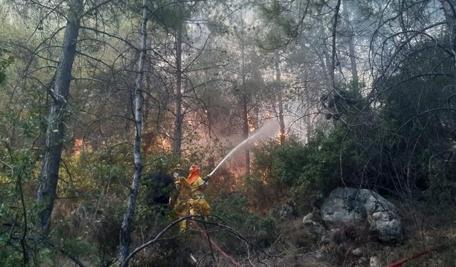 Mersin’deki orman yangını kontrol altına alındı, 3 hektar alan zarar gördü