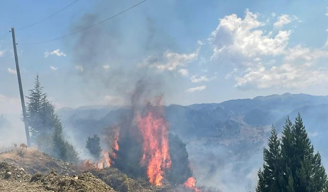 Alanya’da makilik alanda çıkan yangın ormana sıçramadan söndürüldü