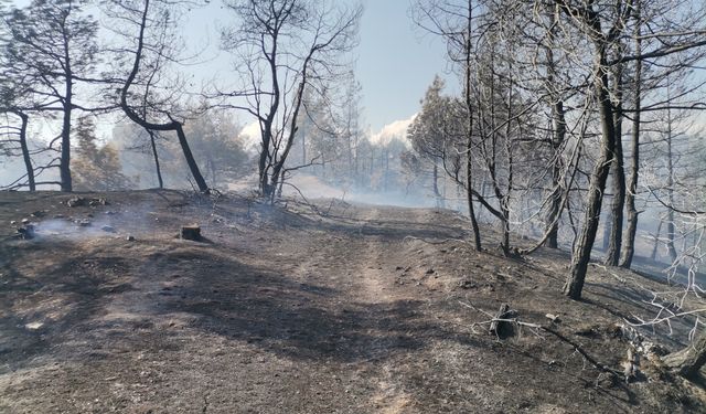 Kahramanmaraş'taki orman yangını büyük ölçüde kontrol altına alındı