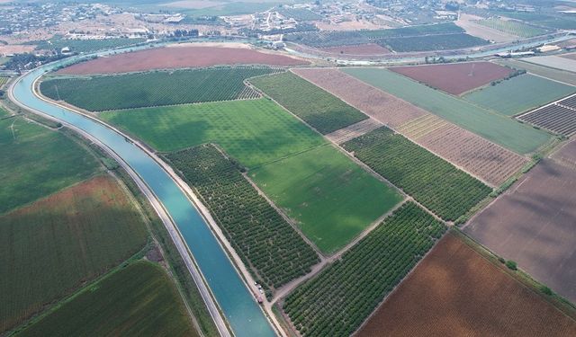 Adana çiftçisine 'su yok, ekim yapmayın' uyarısı