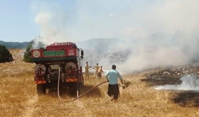 Anız yangını ormana sıçradı, ekipler müdahale ediyor