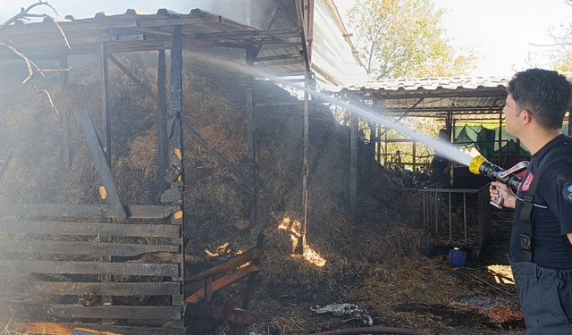 Antalya'da ahır yangını: 3 inek, 12 keçi telef oldu