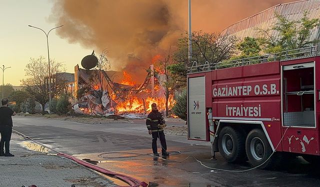 Gaziantep'te halı fabrikasında yangın