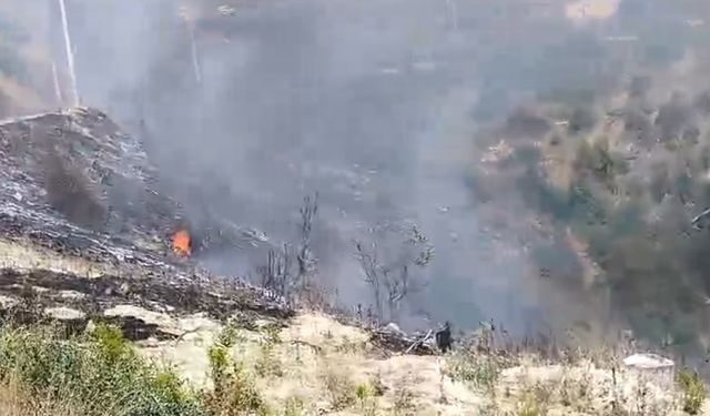 Manavgat’ta çıkan yangında, 4 dönüm örtü ve çalılık alan zarar gördü