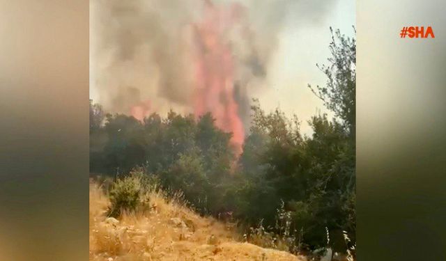 Kahramanmaraş’ta orman yangını