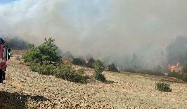 Kahramanmaraş'ta orman yangını