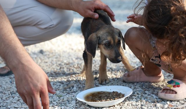 Çuvala konulup, çöplük alana terk edilen köpeği vatandaşlar kurtardı