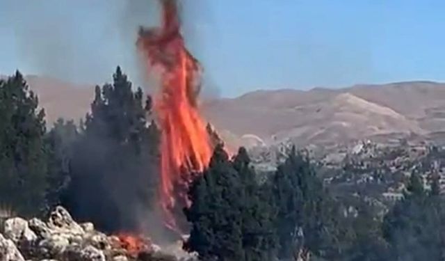 Kahramanmaraş'ta orman yangını söndürüldü