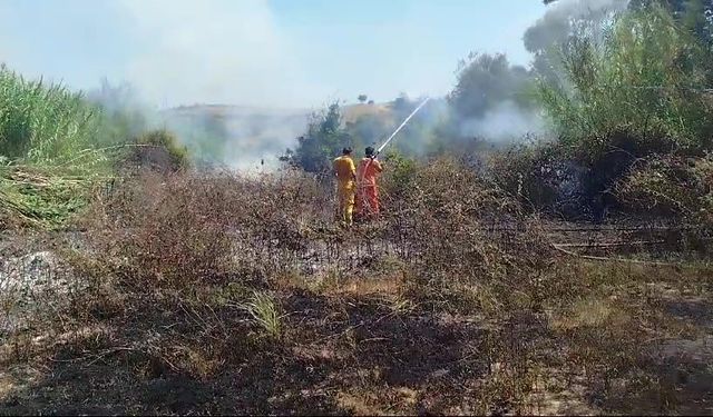 Sazlık yangını tarım arazileri ve mezarlığa ulaşmadan söndürüldü