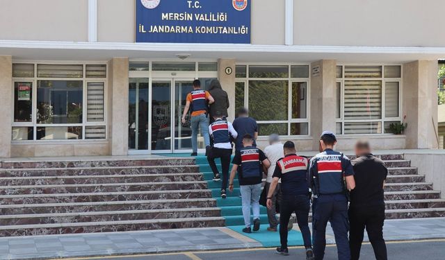 Uluslararası uyuşturucu ticareti yapan şebekeye operasyon