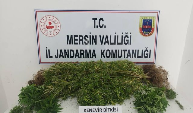 Uyuşturucu tacirlerine operasyon