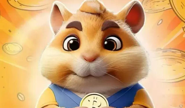 Hamster Kombat yeni şifre ne, nasıl kullanılır? Hamster Kombat kombo kartları belli oldu mu?